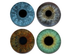 Neurons Not Included Drink Coasters - Assorted Eyeball Colors - 4 Piece Set picture
