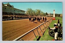 Hot Springs National Park, Oaklawn Race Track, Antique, Vintage Postcard picture