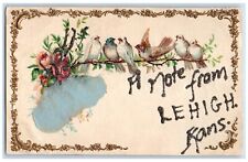 c1910 A Note From Lehigh Dove Birds Flower Embossed Glitter Kansas KS Postcard picture