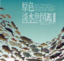 Yujin Rose Selling Available Primary Freshwater Fish Encyclopedia Ii 11 Species picture