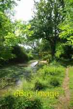Photo 6x4 A Pond in Broaks Wood Halstead A pond teaming with dragonflies  c2011 picture