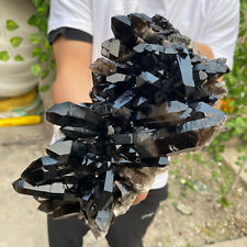 6.2lb Large Natural Black Smoky Quartz Crystal Cluster Raw Mineral Specimen picture
