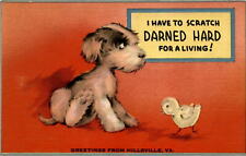 Postcard, humor, occupation, location, Hillsville, Virginia, Postcard picture