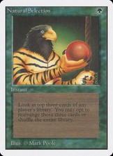 Natural Selection (213) picture