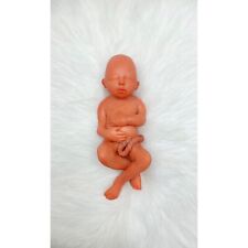 19 Weeks Baby Fetus, Stage of Fetal Development (Memorial/Miscarriage/Keepsake) picture
