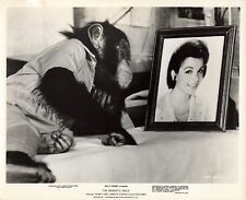 The Monkey's Uncle 1965 Movie Photo Judy the Chimpanzee Annette Funicello *P127b picture