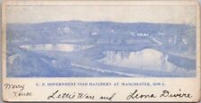 1905 MANCHESTER, Iowa Postcard 