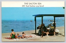 The Salton Sea Postcard 241 Feet Below Sea Level Picnic Spot Unposted CA picture