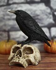 Ebros Gothic Raven Perching On Skull Statue 7.25