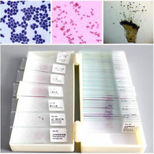 50pcs Prepared Microscope Glass Slides Microbial Bacterial Specimen Slices picture