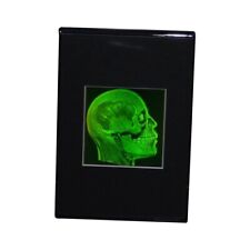 Brain/Skull 3D Photopoloymer Realistic 2-Channel 3D Hologram Picture - Deskstand picture