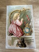 Antique 1894 Woolson Spice Alice Through Looking Glass Victorian Trade Card picture