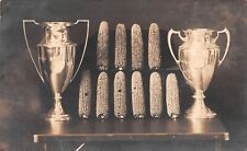 RPPC Blairstown Iowa State Fair National 10 Ear Corn 1912 Championship Postcard picture