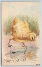 Postcard Happy Easter Chick Looking At Reflection in Puddle Pre 1908 O02 picture