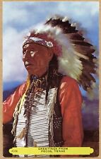 Pecos TX Greetings Indian Chief Texas Postcard picture