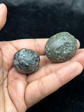 2 Pieces Unique Ancient Near Eastern Jade Genuine Stone Intaglio Beads picture