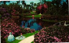 Vintage Postcard- Cypress Gardens 1960s picture
