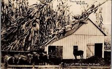 1909 SURREAL REAL PHOTO EXAGGERATION THE LAND OF BIG CORN RPPC POSTCARD 38-53 picture