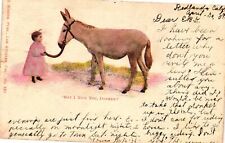 Vintage Postcard- May I Ride You, Donker? Early 1900s picture