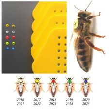 Markings Tag 500 pcs for Queen Bees 5 Colors* Numbers 1 -100 (+Glue) picture