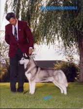 Siberian Husky Quarterly dog mag GEROY Interview Taiga's Blue Spruce SHCA Nat'l+ picture