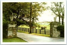 Postcard - Spendthrift Farm Gates - Lexington, Kentucky picture