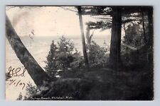 Whitehall MI-Michigan, Sylvan Beach, Antique, Vintage c1907 Postcard picture