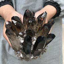 300-400g Natural Smoky Black Quartz Cluster Crystal Specimen Healing  picture