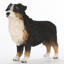 Australian Shepherd Tri-Color Figurine Hand Painted Collectible Statue picture