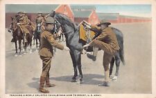U.S. Army: Teaching a Newly Enlisted Cavalryman How to Mount, Early Postcard picture