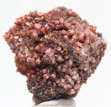 VANADINITE Crystal Cluster Mineral Specimen Matrix GERONIMO MINE LA PAZ ARIZONA picture