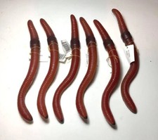 8.5" Rubber Earthworm Replica Set of 6 Worms AAA Brand Halloween Party Favors picture