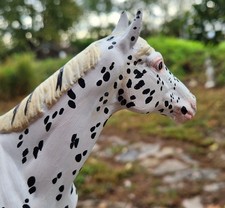 Custom Breyer CM Traditional Standing TB Thoroughbred Racehorse Winx Appaloosa picture