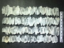 1/2 Lb Natural Quartz Crystal Shards Collection Points Broken Wands picture