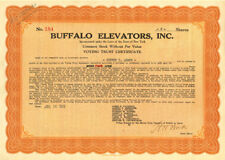 Buffalo Elevators, Inc. - General Stocks picture