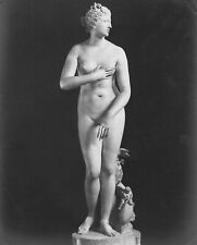 Vintage Photograph - Giacomo Brogi - Venus de Medicis - Florence c 1880 picture