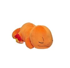 Pokemon Sleeping Charmander 18
