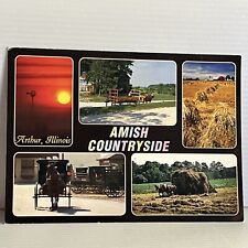 Amish Countryside, 5 Views of Amish Way of Life picture