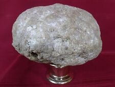 Extra Large 25.7 Pound Whole Kentucky Crystal Quartz Geode Rare Unique Gift picture