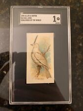 1890 Allen & Ginter N23 BELL BIRD (SONG BIRDS OF THE WORLD)....SGC 1 picture