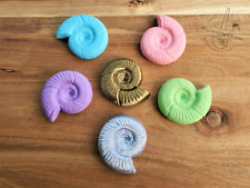 Ammonite Shell Fossil Magnet - Ancient Nautilus Replica Fridge Sea Decor Gift picture