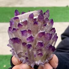 347G New Find  purple PhantomQuartz Crystal Cluster MineralSpecimen picture