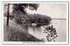 c1910 Scenic View Lake Trees River Greetings From Mecosta Michigan MI Postcard picture