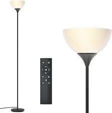 PESRAE Floor Lamp, Remote Control with Stpeless Color Matte Black  picture