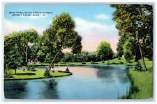 1954 Bass Pond State Fish Hatchery Detroit Lakes Minnesota MN Antique Postcard picture