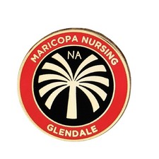 Maricopa Nursing Glendale AZ Lapel Pin NA Healthcare Medical School picture