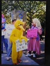UGLY BIG BIRD & MISS PIGGY PROTESTING HOMOPHOBIA AT TV STATION, PHOTO picture