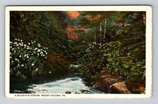 Mount Pocono PA-Pennsylvania, Mountain Stream, Antique, Vintage Postcard picture