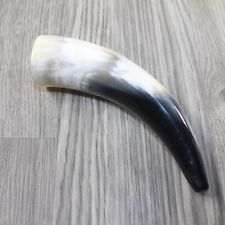 2 Small Polished Cow Horns #3041 Natural colored picture