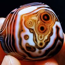 TOP 31G Natural Polished Silk Banded Agate Lace Agate Crystal Madagascar  L1562 picture